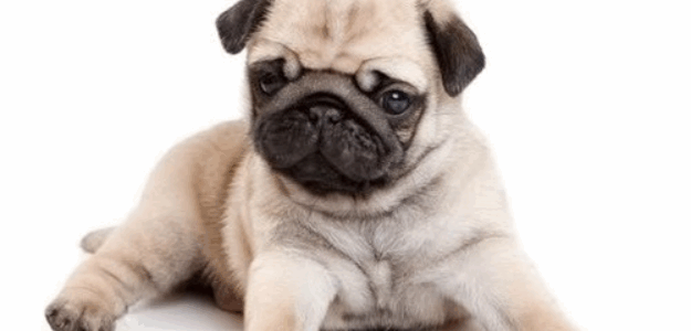 Charity Store banner